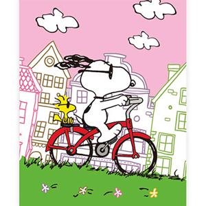 DIY 보석십자수 피너츠 스누피 캔버스형 DAILY 써니데이 40x50