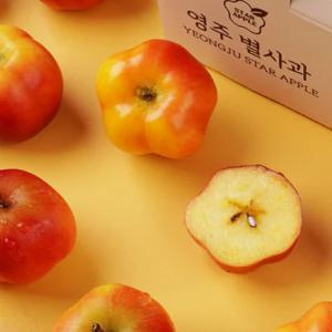 영주 별사과 못난이 특대 1kg (8-10과내외)