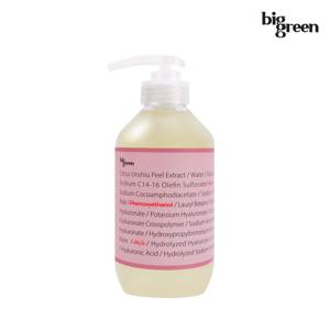 임산부 약산성 바디워시 500ml