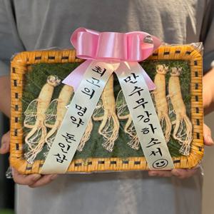 인삼 반전 용돈 이벤트 박스 산삼 부모님 현금 돈 선물 어버이날 생일 생신 포장 (기본)