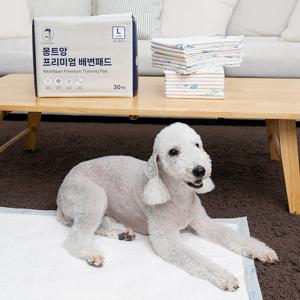 몽트앙 프리미엄 논슬립 강아지 배변패드 대형 30매X8팩(240매)