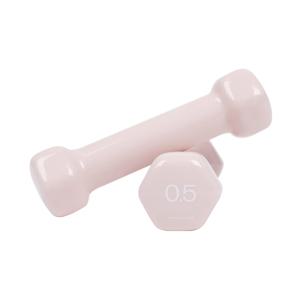 PVC 뷰티 육각 덤벨 0.5kg 베이비핑크 예쁜 여자 아령 헬스 홈트