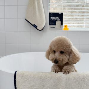 몽트앙 퀵드라이 펫타올 초극세사 강아지 고양이 전용 목욕 타올 담요