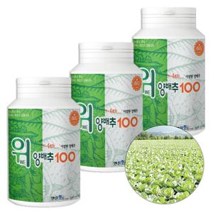 위양배추100 360g*3팩