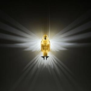LED 부엉이 독수리 벽걸이 무드등