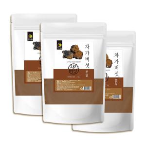 러시아 차가버섯 분말 1kg*3팩