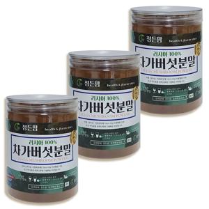 차가버섯 분말 120g*3팩