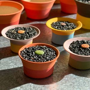 미니 리톱스 + 미니자근팟 1호 세트