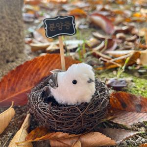 반려 뱁새 오목눈이 미니 인형 키링 귀여운 친구 생일 선물 머리핀 새 (작은둥지 단품)