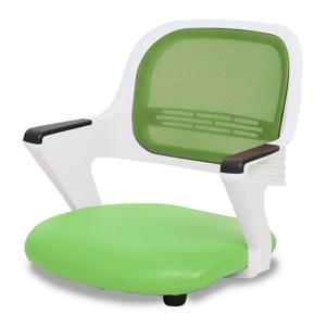 거실생활/인조가죽/알라딘 AL-D250 화이트바디 등받이 바닥 좌식 의자 6colors