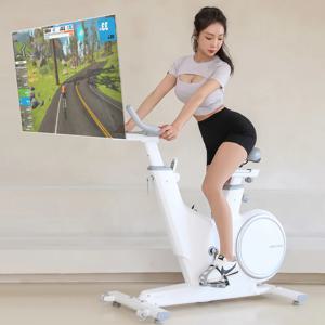 스마트 젠틀 마그네틱 스핀바이크 10kg / 15kg 실내자전거