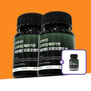 베르가못 폴리페놀 추출물 락토페린 모로오렌지 정
