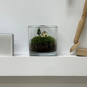 미니 초원과집 테라리움 키트 diy 자취방 꾸미기