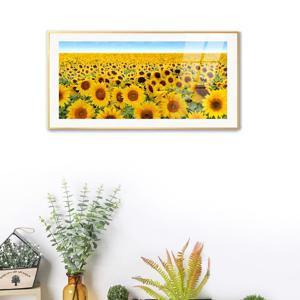 1459쥴리아해바라기-2 / 아크릴 메탙프레임 매트액자 와이드 복 돈들어오는 풍수화