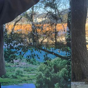 Green Forest 초록 숲, 쉬폰 패브릭 포스터 1종 (쉬폰소재/1size)