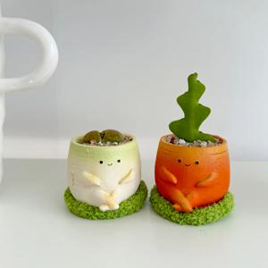 이오난사 피쉬본 감성 미니 실내공기정화식물 인테리어식물 리틀팟