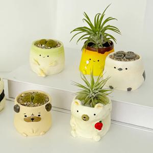 1+1 리틀팟 공기정화식물 반려 미니식물 9종 골라담기
