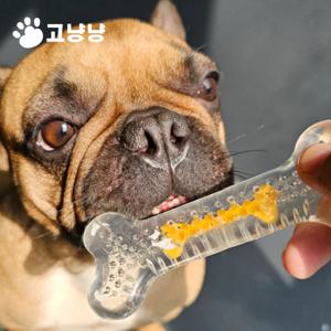 강아지 이갈이 입질 장난감 우드스틱 터그놀이 훈련 개껌 덴탈껌 입질츄
