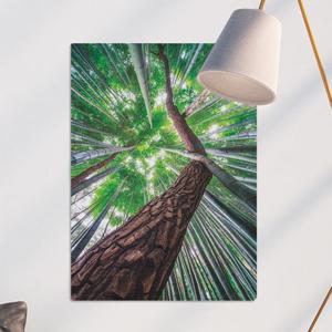 tj592-사각그림액자_풍수소나무와대나무