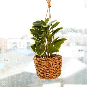 조화 넝쿨 화분 공중 인조식물 행잉플랜트 바구니 투톤사철