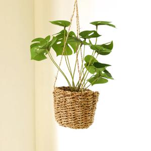 조화 넝쿨 화분 공중 인조식물 행잉플랜트 바구니 몬스테리어