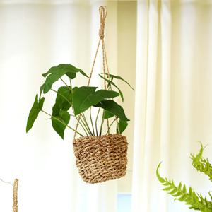 조화 넝쿨 화분 공중 인조식물 행잉플랜트 바구니 알로카시아