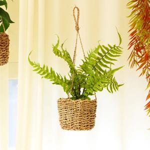 조화 넝쿨 화분 공중 인조식물 행잉플랜트 바구니 루모라고사리