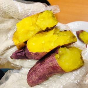 국내산 꿀맛 밤 고구마 5kg 10kg