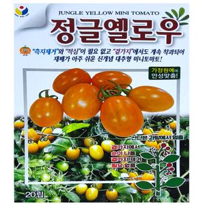 정글옐로우 대추 토마토씨앗 20립