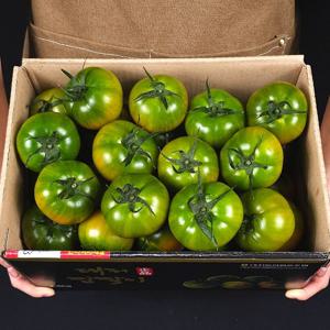 당일수확 프리미엄 부산 대저 짭짤이 토마토 2.5kg 로얄과 3s