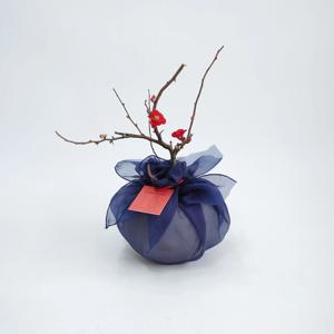 홍천조 매화 명자나무 (Chaenomeles speciosa Nakai)