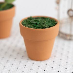 베이직토분 이끼포함 5.5x5cm (4개입) 조화 꽃꽂이 만들기 DIY 재료
