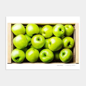행운을 부르는 회장님 풍수 사과 그림 액자 포스터 / 04 Green Apples 2번 /