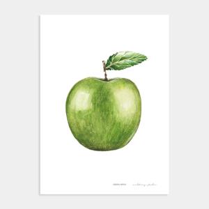 행운을 부르는 회장님 풍수 사과 그림 포스터 액자 / 09 Green Apple 2번 /