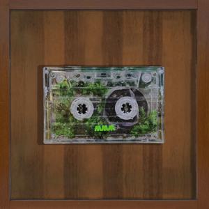 모스 카세트 테이프_미니 테라리움_카세트 테라리움