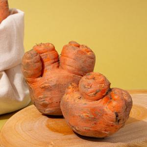 국내산 흙당근 (못난이 파지) 10kg