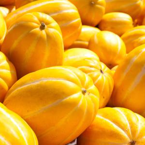 정품 성주 참외 2kg (중/7-9과) 개당 200g이상