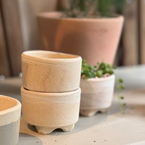 수제 미니화분 바닐라팟 분갈이 다육식물 미니식물