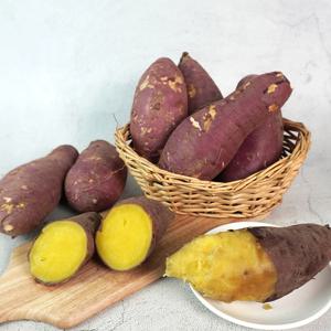 해남직송 꿀고구마 5kg 한입 (60g내외)