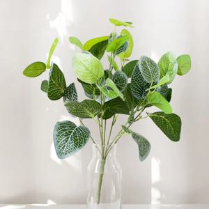 7대잎피토니아부쉬 40cm