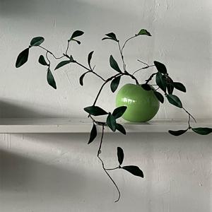 조화나무 분홍백화등 30-50cm (레이지볼) 제작화분 선반식물 데스크테리어 포인트오브제