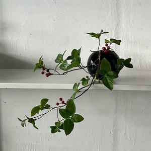 조화나무 산호수 10-20cm 레이지볼(3colors) 선반식물 데스크테리어