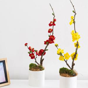 매화 나무 화분set 12x52cm 2color 인테리어 봄 조화 테이블 장식 꾸미기 소품