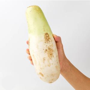 제주 세척 월동무 10kg (개당 800-1200g)
