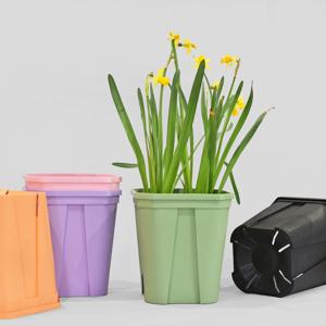 젤리 팔각 슬릿화분 국내생산 가벼운 플라스틱 슬릿 삽목 슬릿분