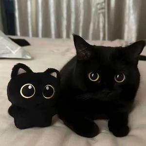 왕눈 깜냥이 행운 키링 귀여운선물 고양이 인형 가방고리
