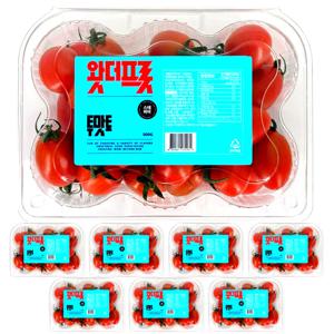 스테비아 토마토 방울토마토 투맛토 4KG (500g*8팩)