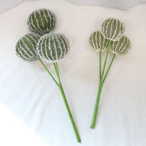 내추럴 선인장 식물 조화 11번 인테리어소품 테라리움 촬영소품 다육 금호선인장