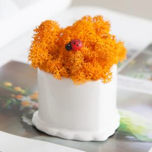 1+1 / 도자기 화분 심플하트 6x4cm 조화꽃 전용 다육 인테리어 장식