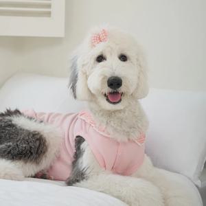 강아지옷 중형견 대형견 코지세라티 핑크 (B019_B_PK)